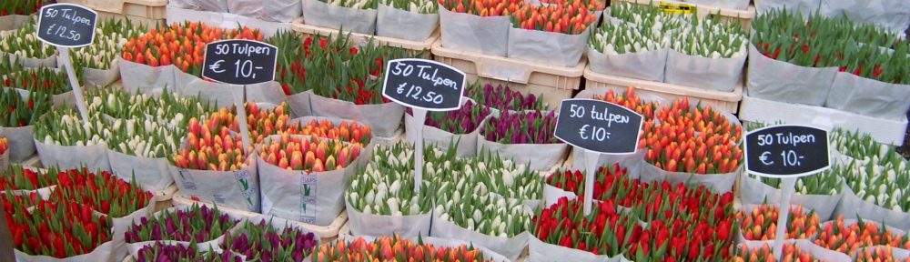 Flower Market, Amsterdam