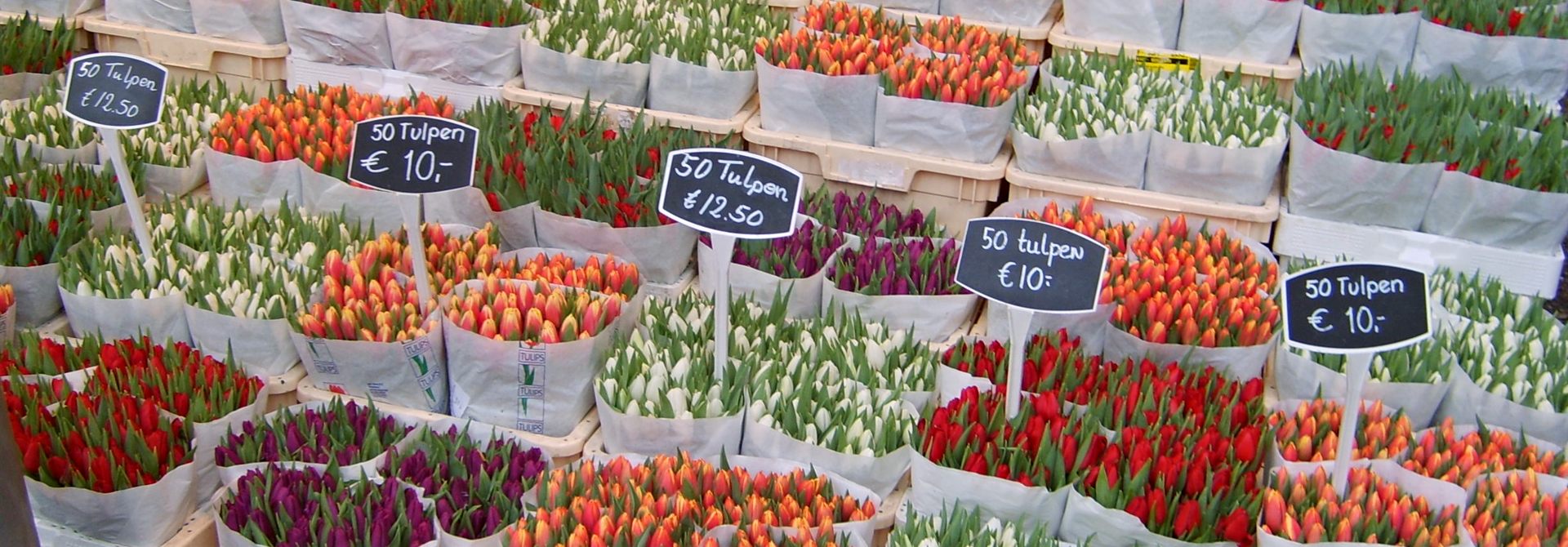 Amsterdam Flower Market Header