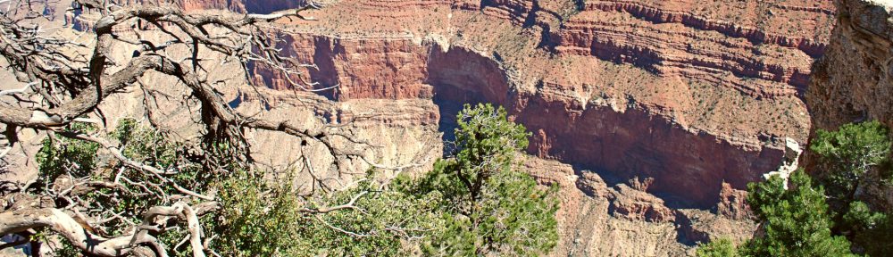 The Grand Canyon, Arizona