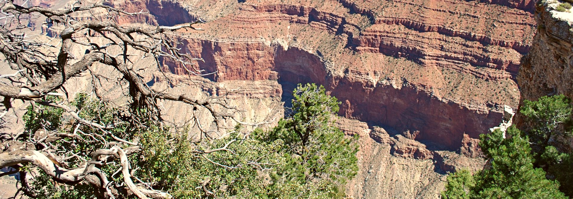 Grand Canyon Hero