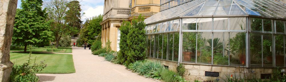 Botanic Garden, Oxford