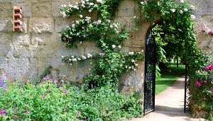 Oxford Botanic Garden