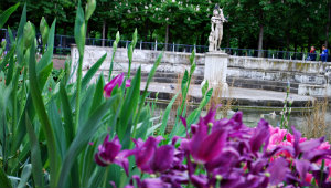 Jardin des Tuileries Paris