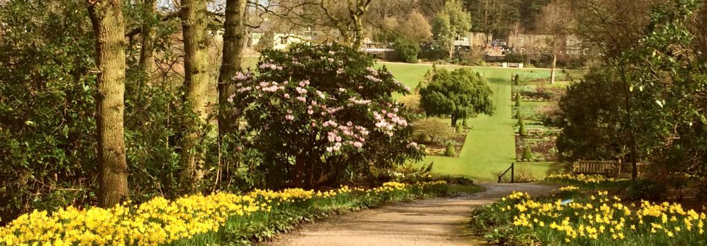 Harlow Carr Header