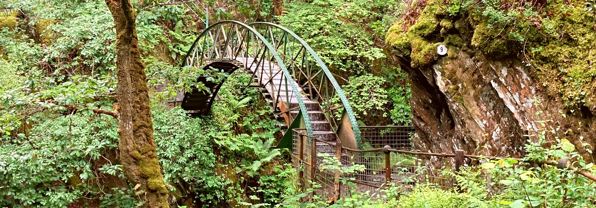 The Walks  Devils Bridge Falls